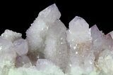 Cactus Quartz (Amethyst) Cluster - South Africa #80008-1